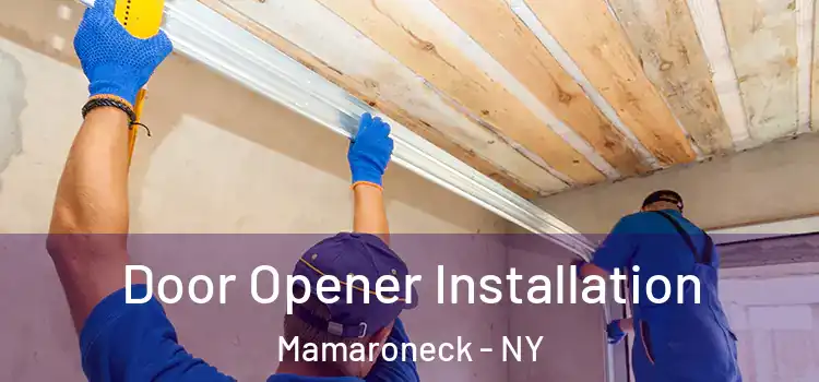 Door Opener Installation Mamaroneck - NY