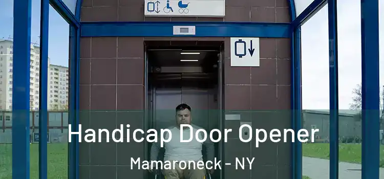Handicap Door Opener Mamaroneck - NY