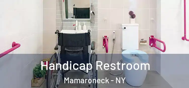 Handicap Restroom Mamaroneck - NY
